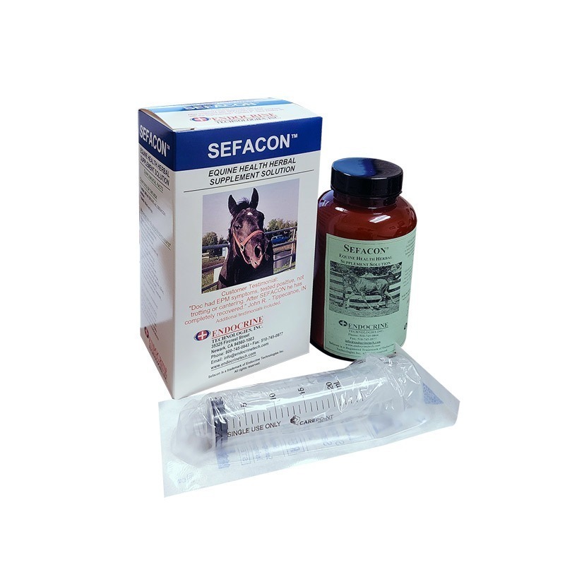 SAFE-3